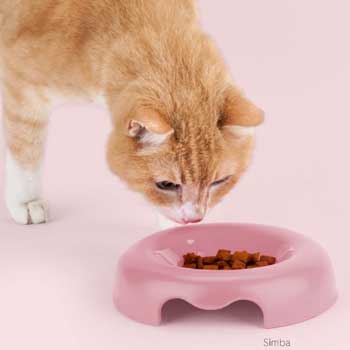 Ciotole per Gatti