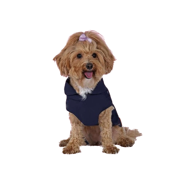 Pet Boutique - Save the Duck - Impermeabile imbottito Blu Navy New