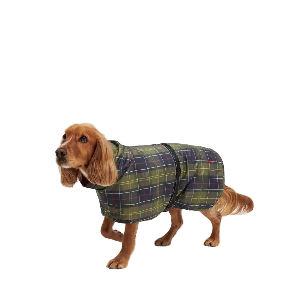 Barbour - regenfester Hundemantel