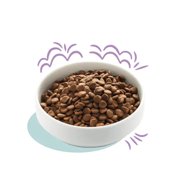 Edgard & Cooper Dog - Salmone e Tacchino - Puppy - Human Grade