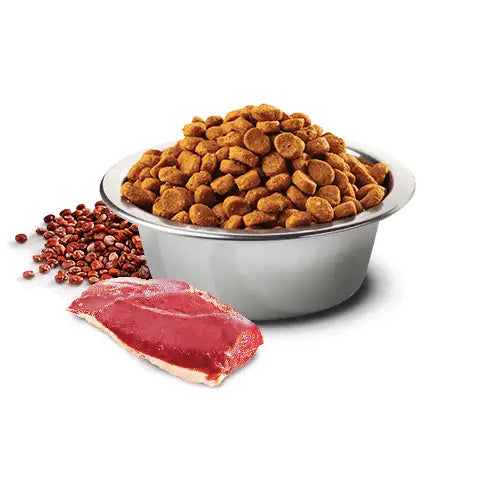 N&D Quinoa cat Anatra Asparagi e Broccoli Neutered - 1,5 Kg - Super Premium