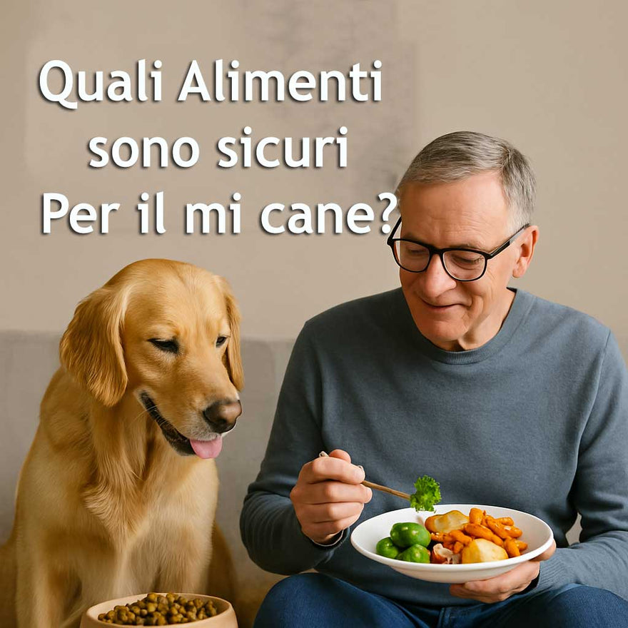 Posso dare al mio cane quello che mangio io? Scopri cosa è sicuro e cosa è vietato