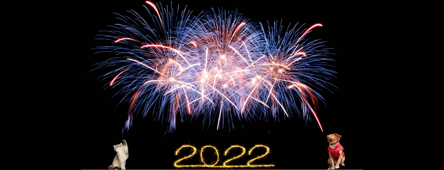 Come comportarsi durante le feste con i nostri pelosetti