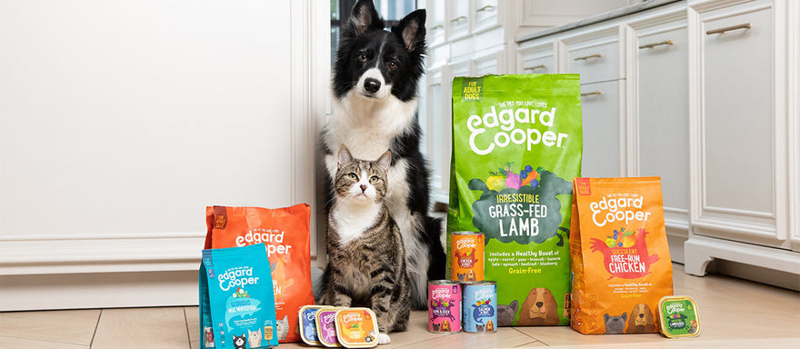 Pet Food: Tendenze di mercato e orientamenti