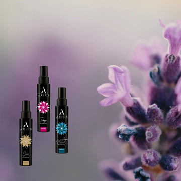 PetBoutique - Profumi per animali domestici