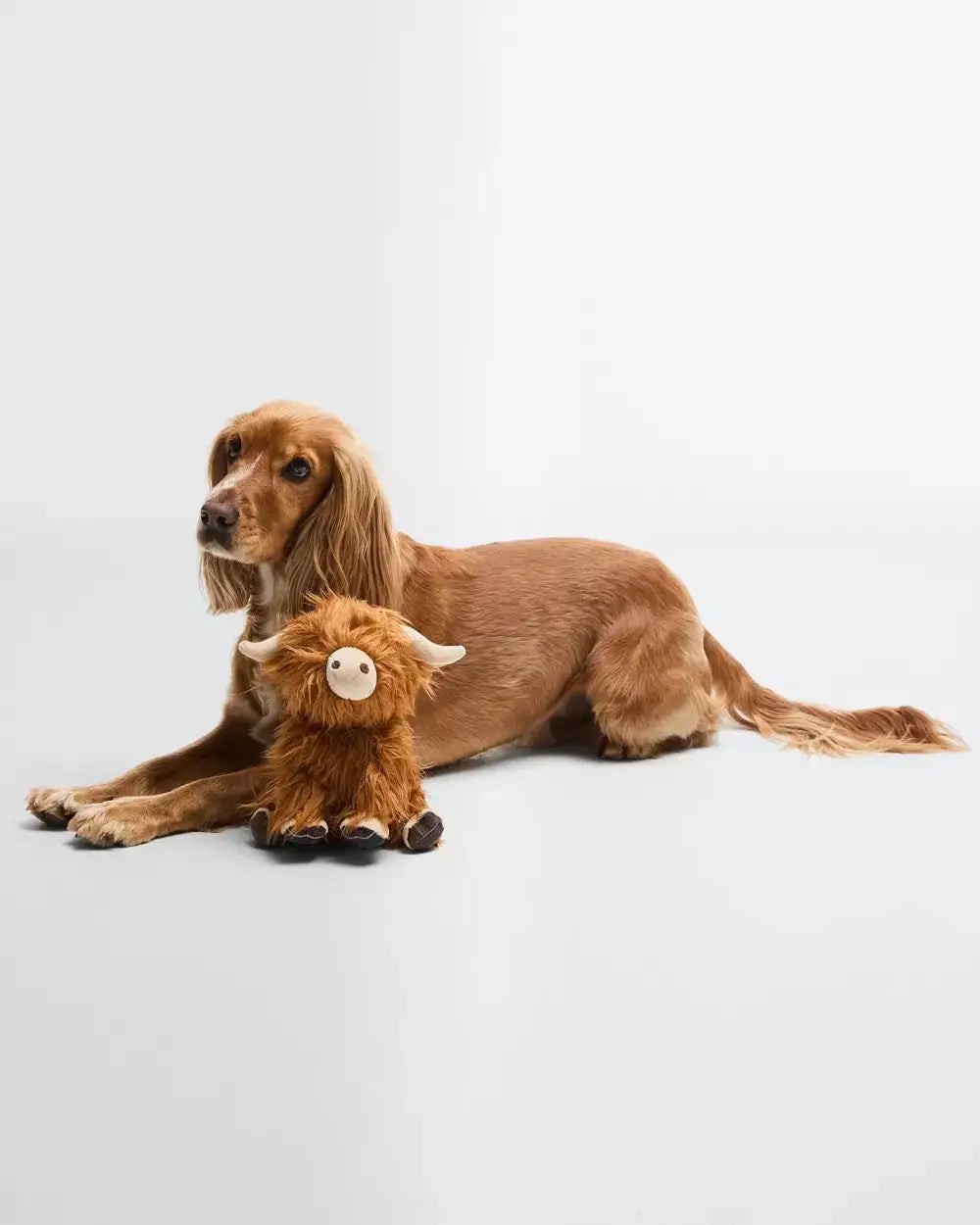 Barbour - Gioco per cani Mucca delle Highland - 0