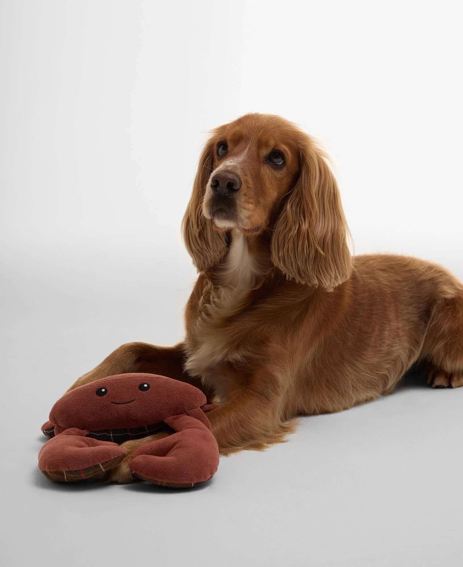 Barbour - Crab-shaped dog toy