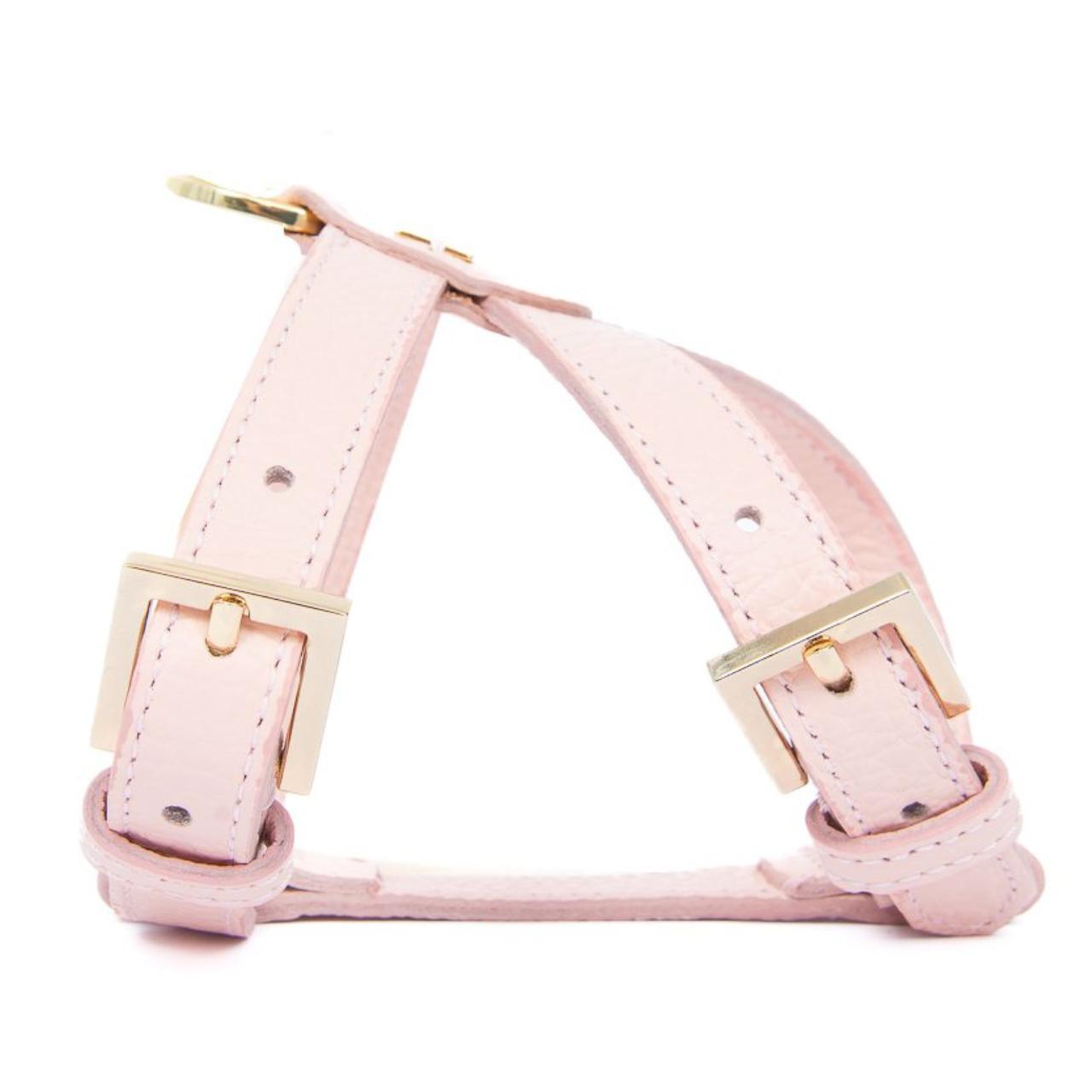 Pupet Couture - Geschirr Aurora