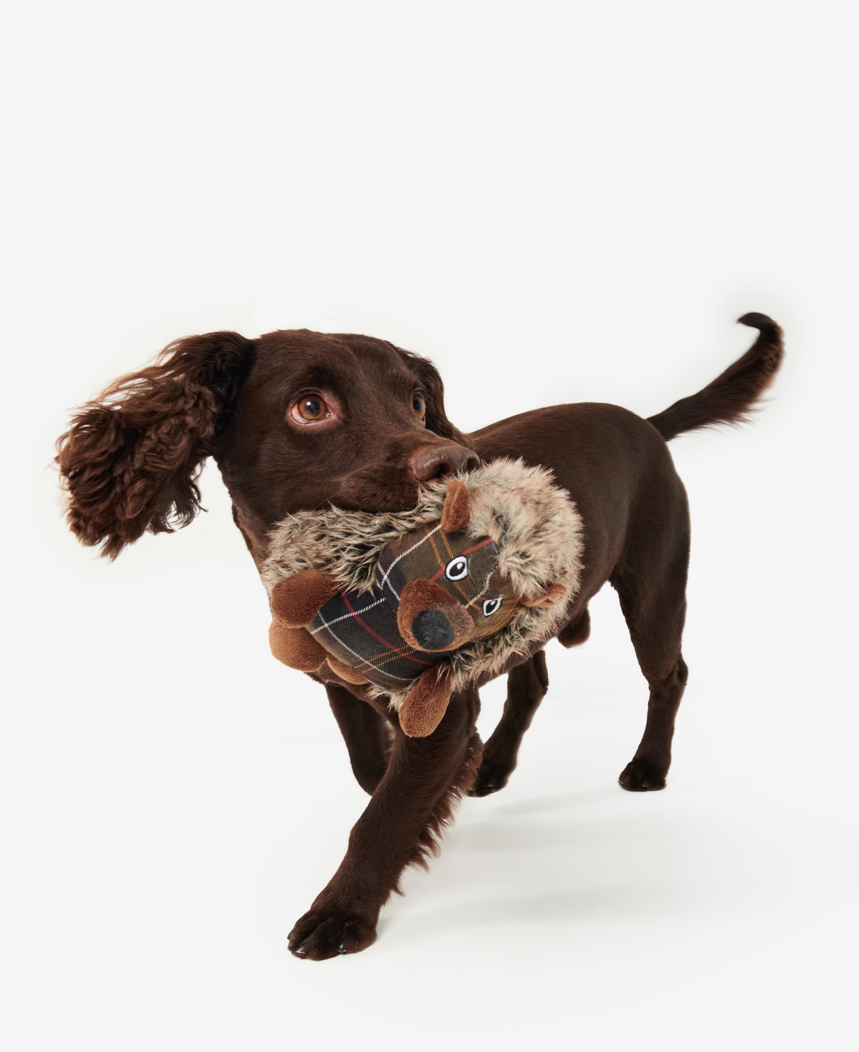 Barbour - Dog toy, hedgehog shaped - 0