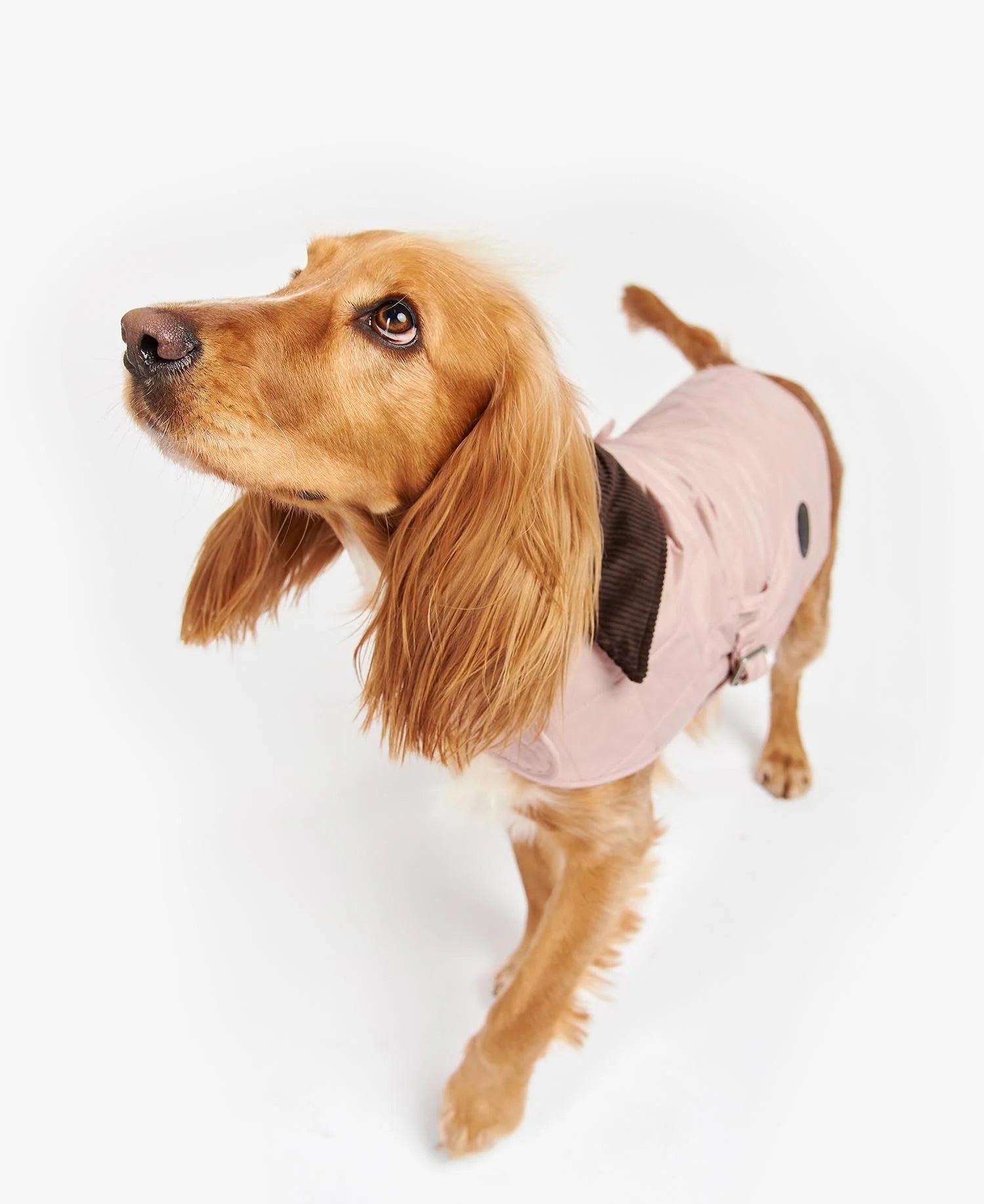 Barbour - Abrigo para perros Acolchado Rosa - 0