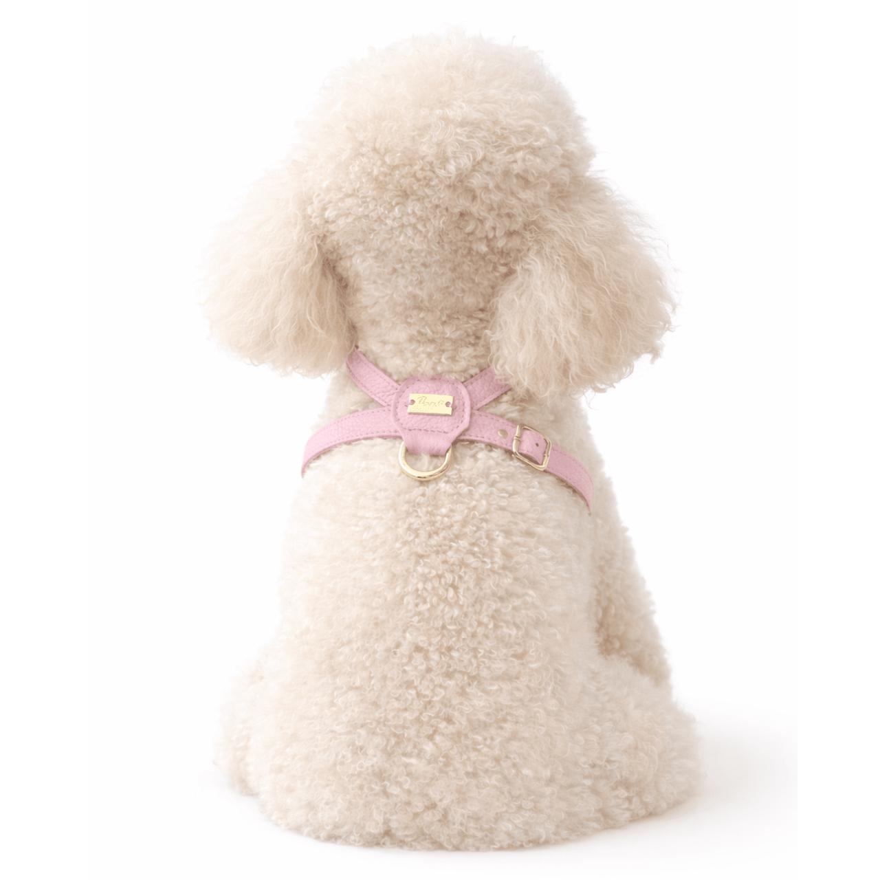 Pupet Couture - Geschirr Aurora