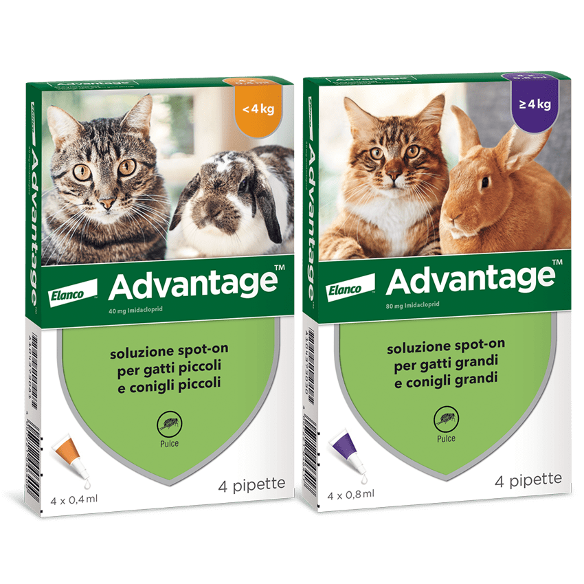 Pet Boutique - Advantage Spot On per gatti