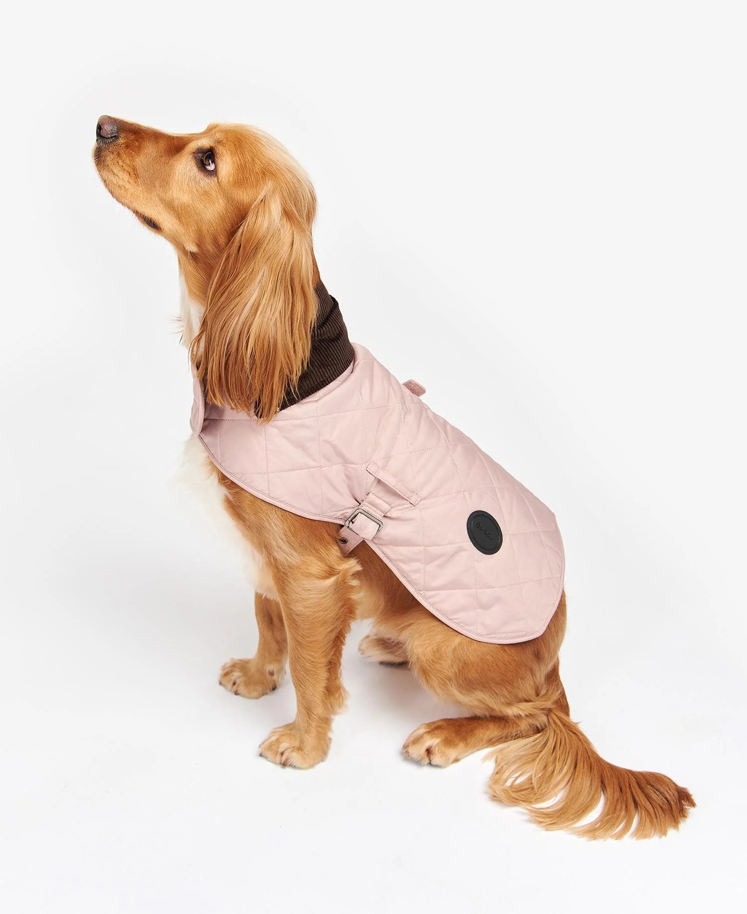 Barbour - Cappotto per cani Trapuntato Pink