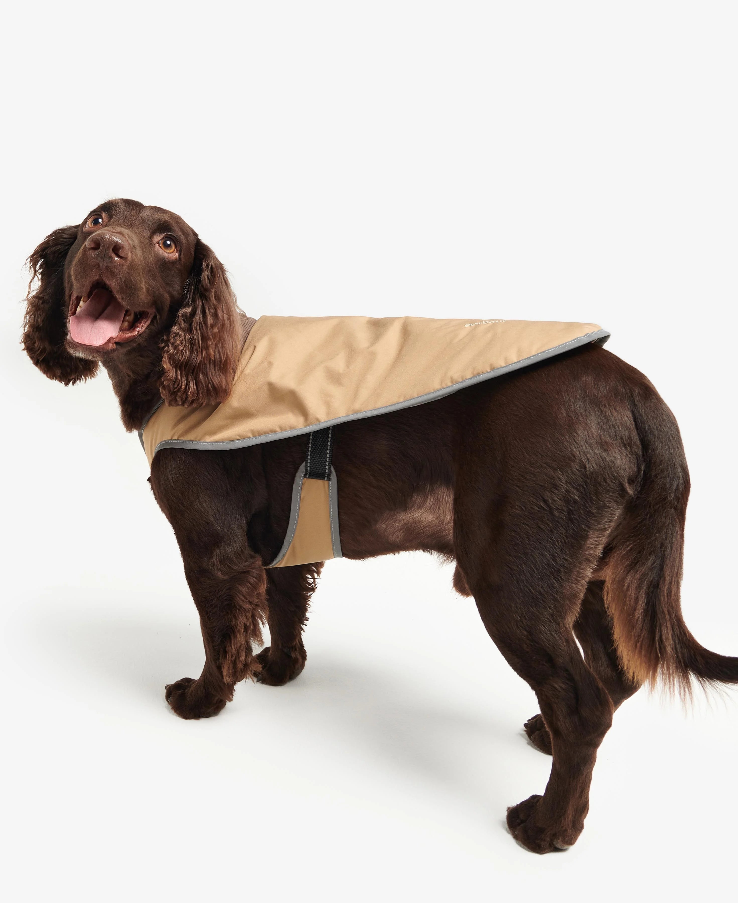 Barbour - Wasserdichter Hundemantel Monmouth