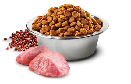 N&D Gato Quinoa Digestión Cordero - 0