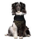 Liu Jo - Pull à col roulé côtelé-10