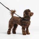 Liu Jo - Black Harness with Heart Studs-1