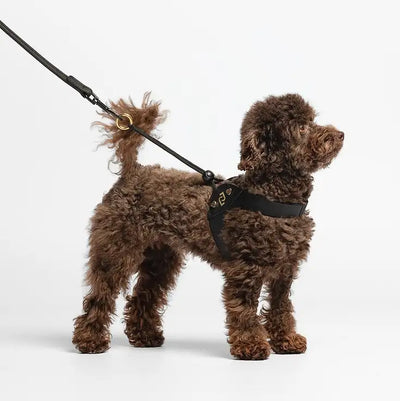 Liu Jo - Harnais noir avec clous en forme de cœur