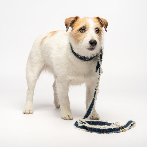 Liu Jo - Denim Leash