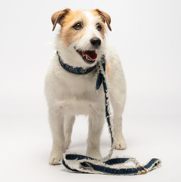 Liu Jo - Guinzaglio Denim - 0