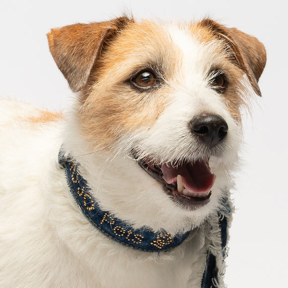 Liu Jo - Collar Denim