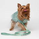 Liu Jo - Guinzaglio Zeus-5