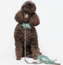 Liu Jo - Collare Fronzolo-5