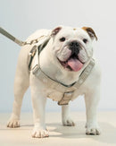 Liu Jo - Harness H-1