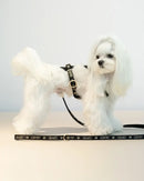 Liu Jo - Jacquard-Leine-4