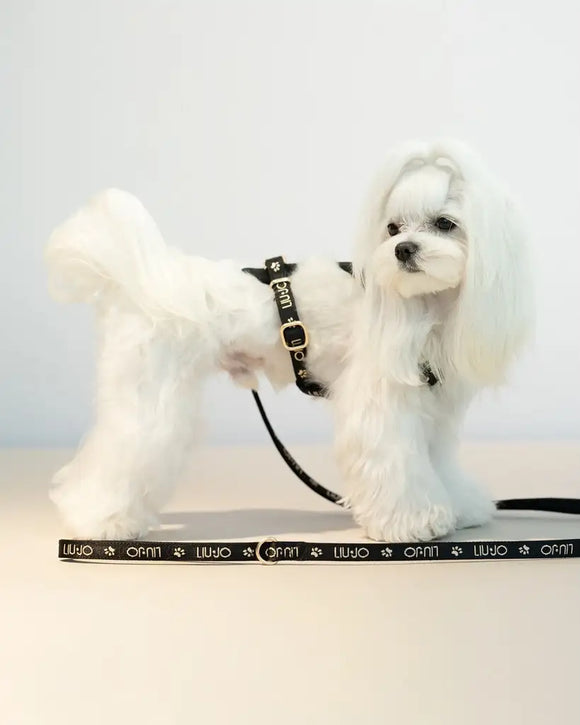 Liu Jo - Jacquard-Leine