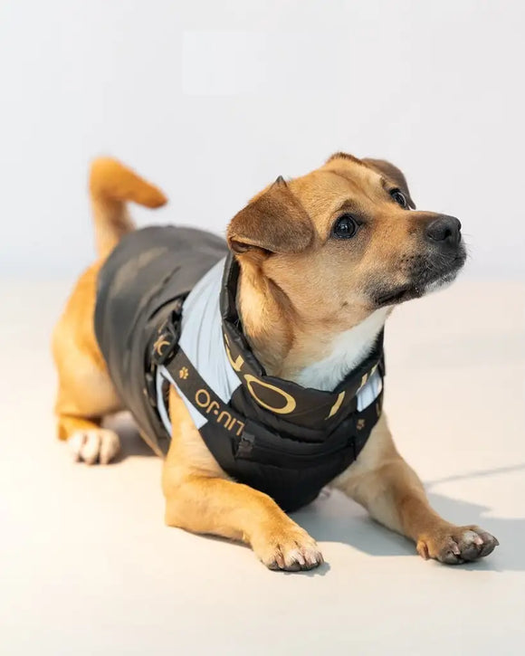 Liu Jo - Daunenjacke mit Brustgeschirr