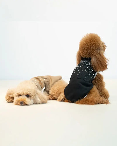 Liu Jo - Felpa Logo e Brillanti