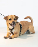 Liu Jo - Harness H-5