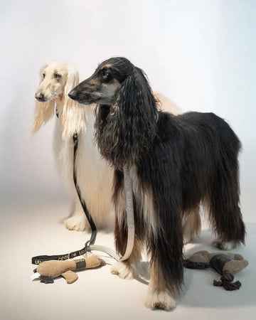 Liu Jo - Guinzaglio Jacquard