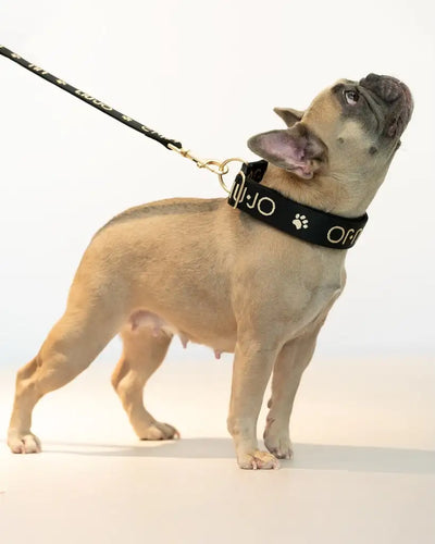 Liu Jo - Jacquard Collar