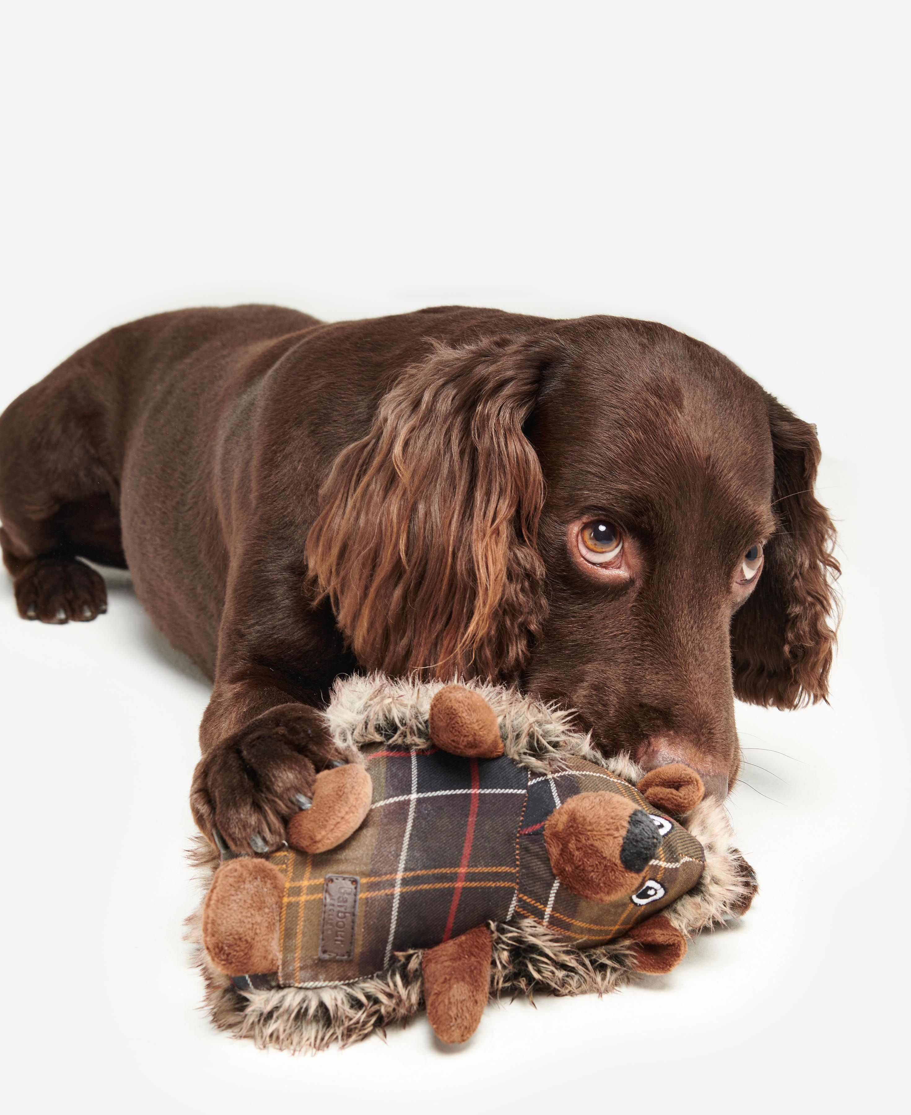 Barbour - Jouet pour chiens, en forme de hérisson