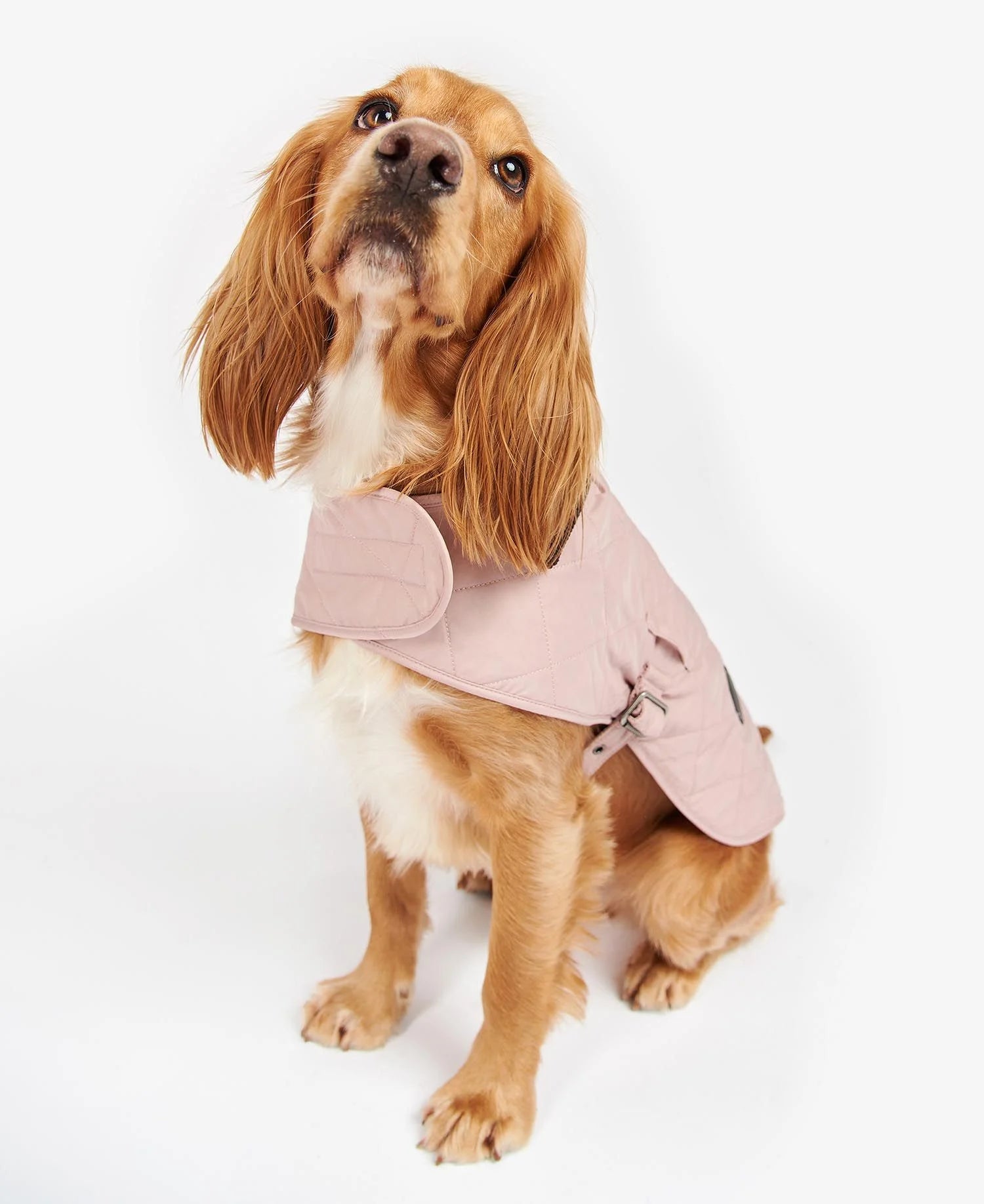 Barbour - Cappotto per cani Trapuntato Pink