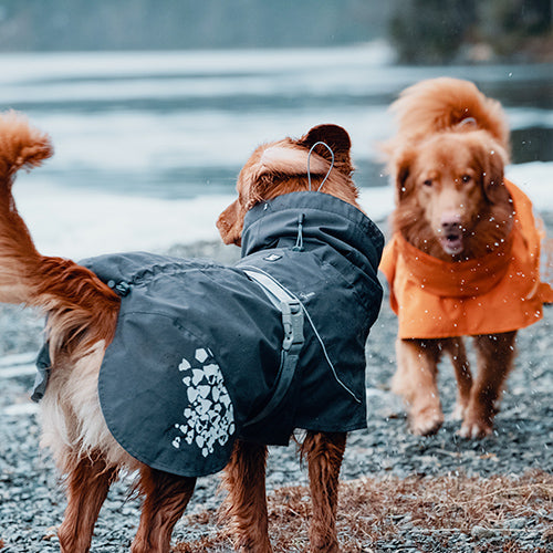 Hurtta Monsoon Dog Raincoat