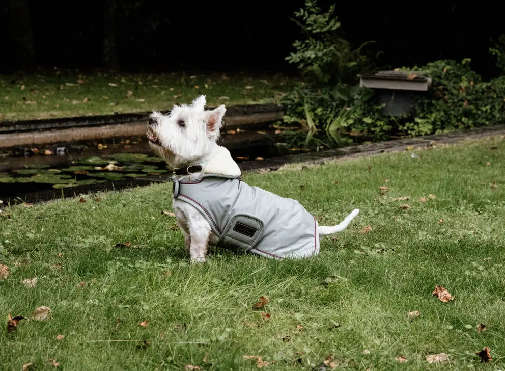 Abrigo impermeable para perros Kentucky