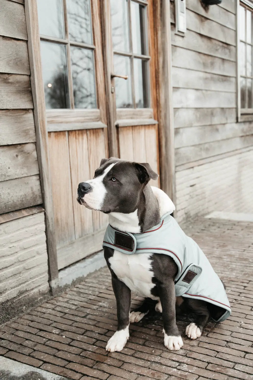 Wasserdichter Hundemantel von Kentucky - 0