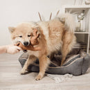 Juguete resistente para perros con chirrido Ne&no® - Conejo Haru-9