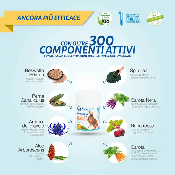 Aloeplus Artricur