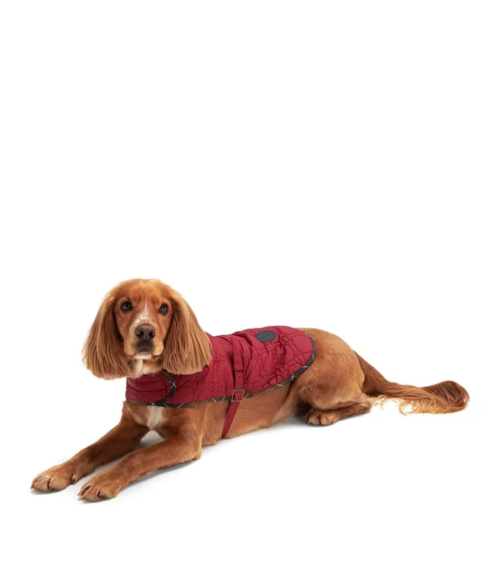 Barbour - Manteau pour chien en os de chien - 0