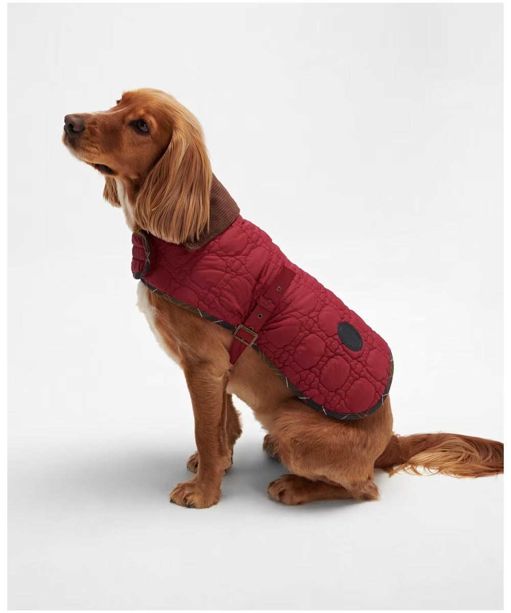 Barbour - Cappotto per cani Dog Bone