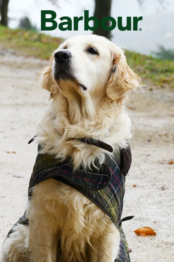 PetBoutique.it -Barbour dog