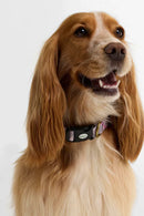 Barbour Collare per cani stampato in tartan-9