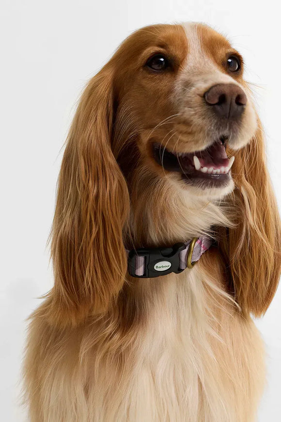 Barbour Collare per cani stampato in tartan