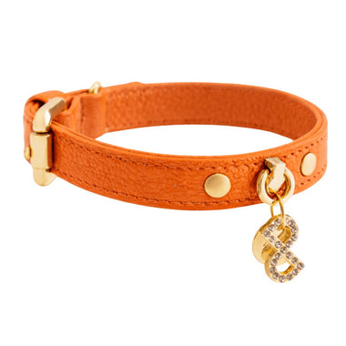 Pupet Couture - collare in pelle aurora