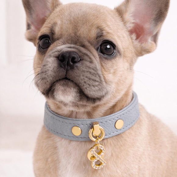 Pupet Couture - collar de piel aurora