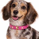 Pupet Couture - collar de piel aurora-10
